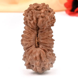26 Mukhi from Java