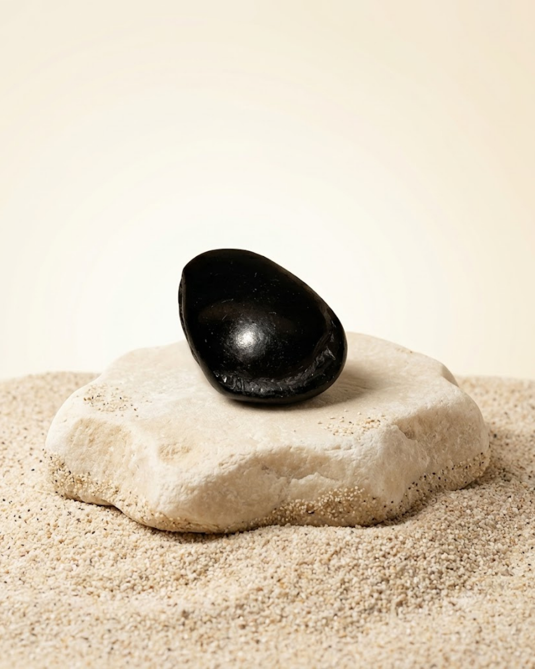 Laxmi Sudarshan Shaligram Shila - Original Sacred Stone - ManiMonk