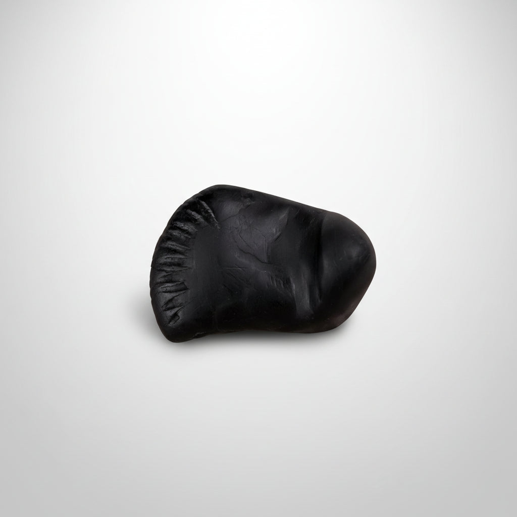 Vishnu Laxmi Sheshnaag Shaligram Shila