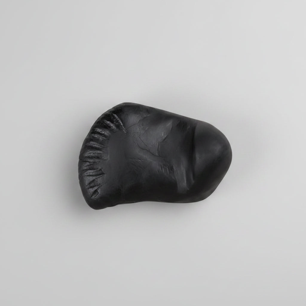Vishnu Laxmi Sheshnaag Shaligram Shila