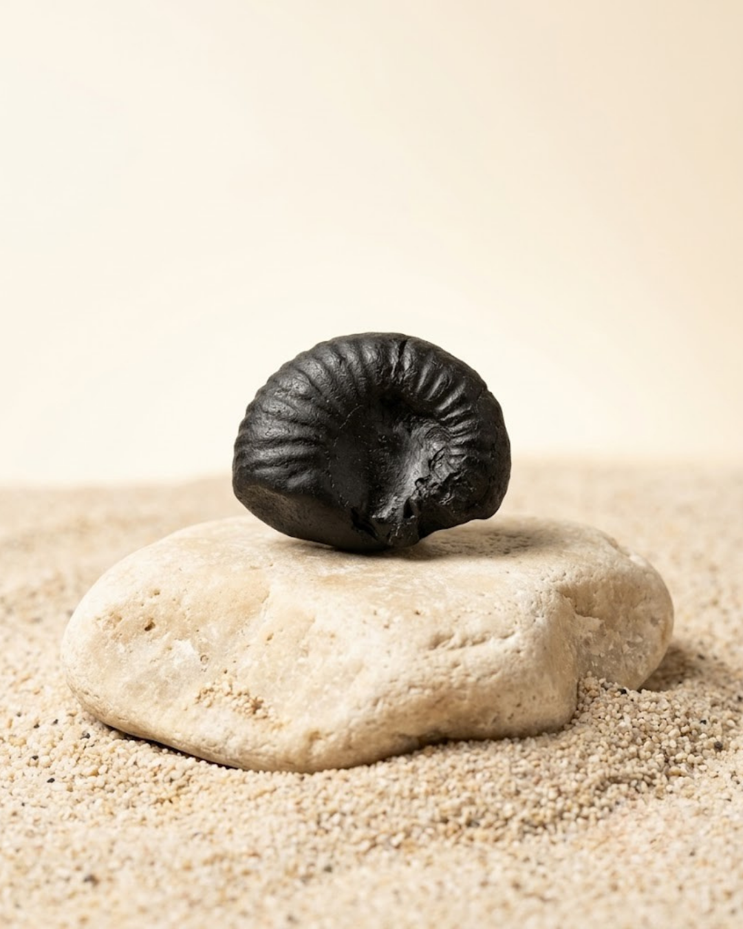 Matsya Avatar Shaligram Shila - Natural Vishnu Stone - ManiMonk