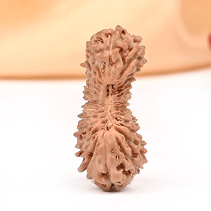 27 Mukhi from Java