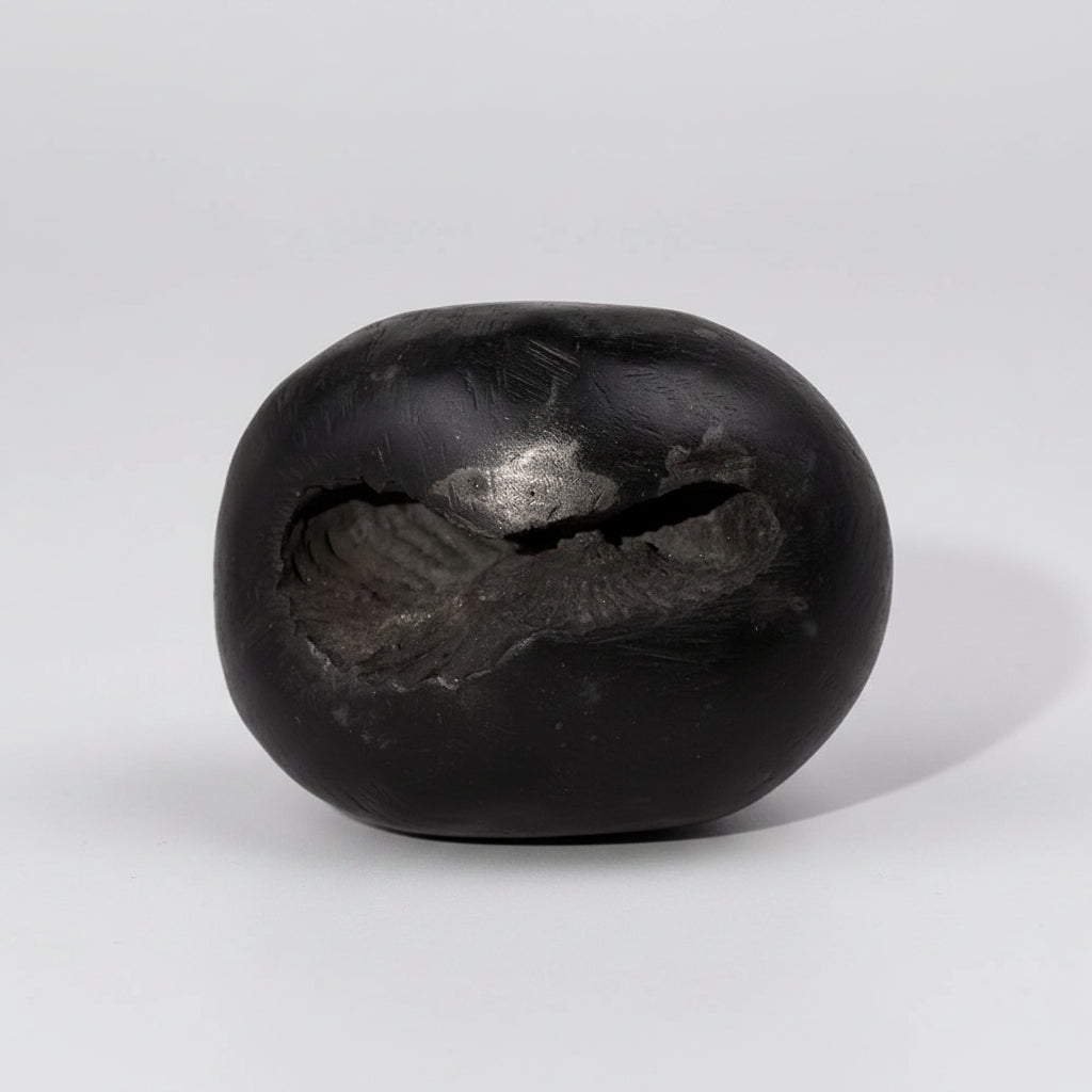 Laxmi Narayan Shaligram Shila - X