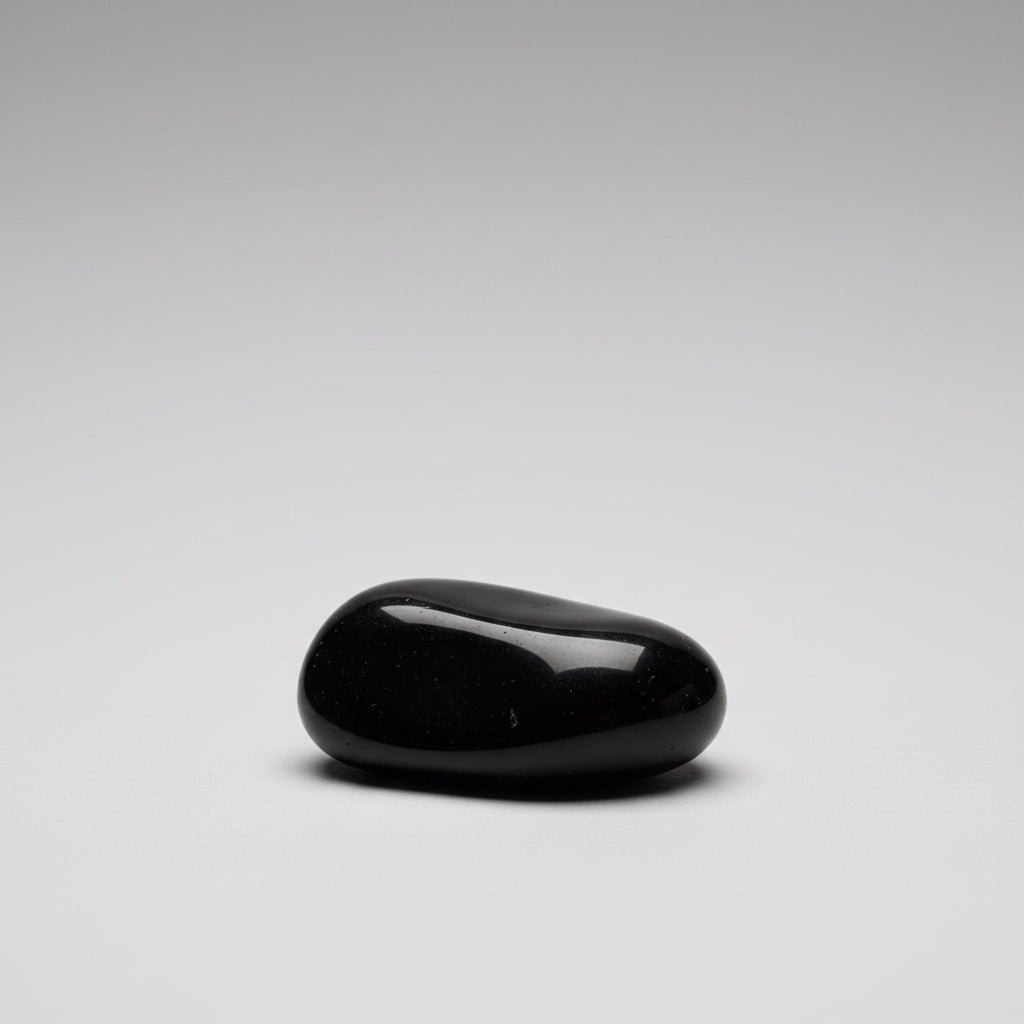 Laxmi Narayan Shaligram Shila - X