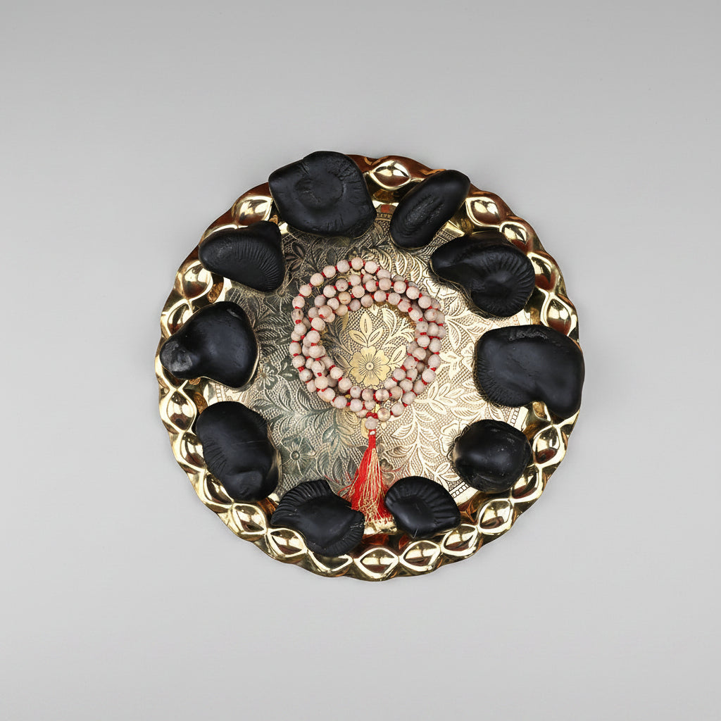 Dashavatar Shaligram Shila Set - 2.2 Kgs