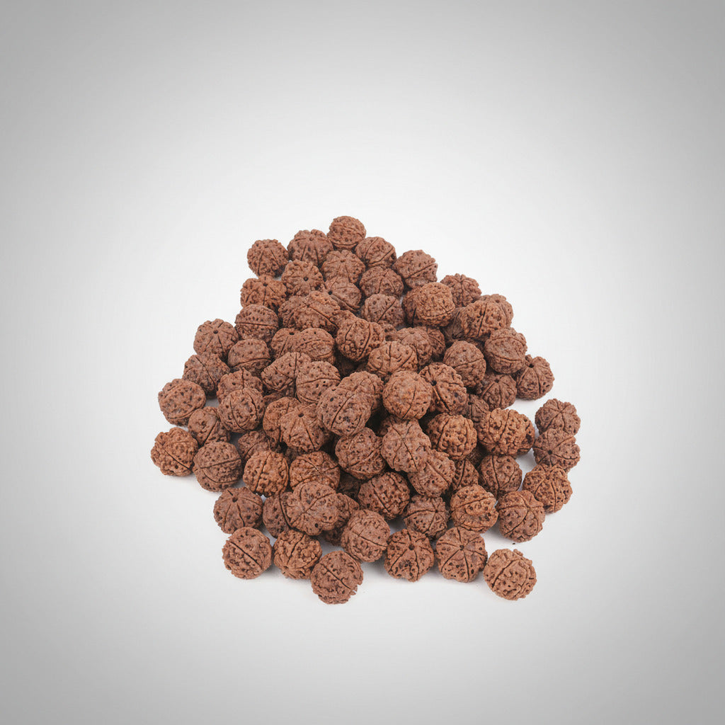 Six Mukhi from Nepal Large