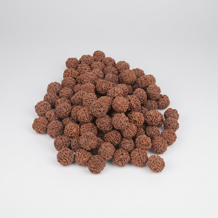 Six Mukhi from Nepal Small