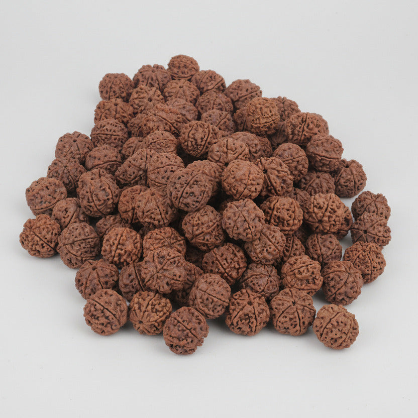 Six Mukhi from Nepal