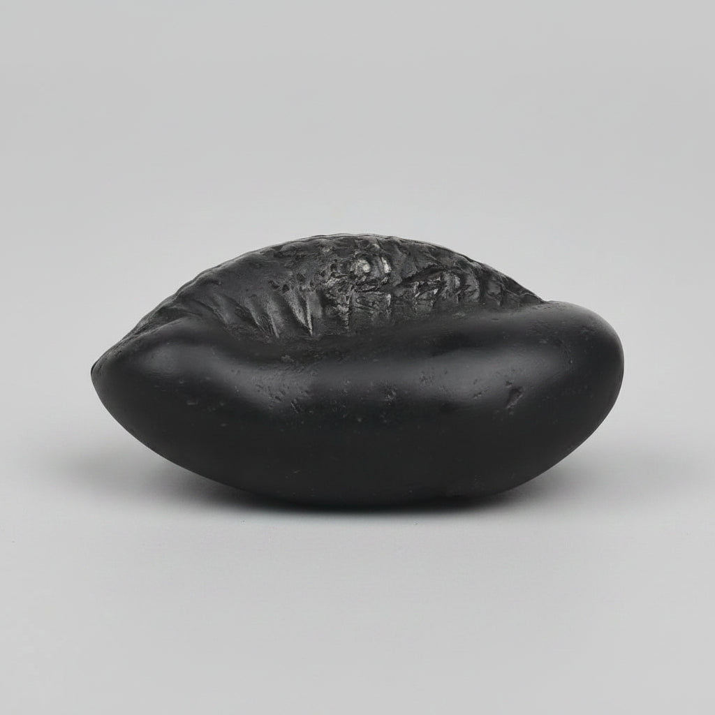 Matsya Roopam Shaligram Shila