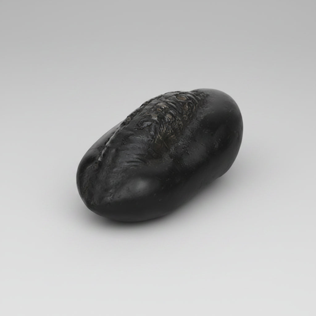 Matsya Roopam Shaligram Shila
