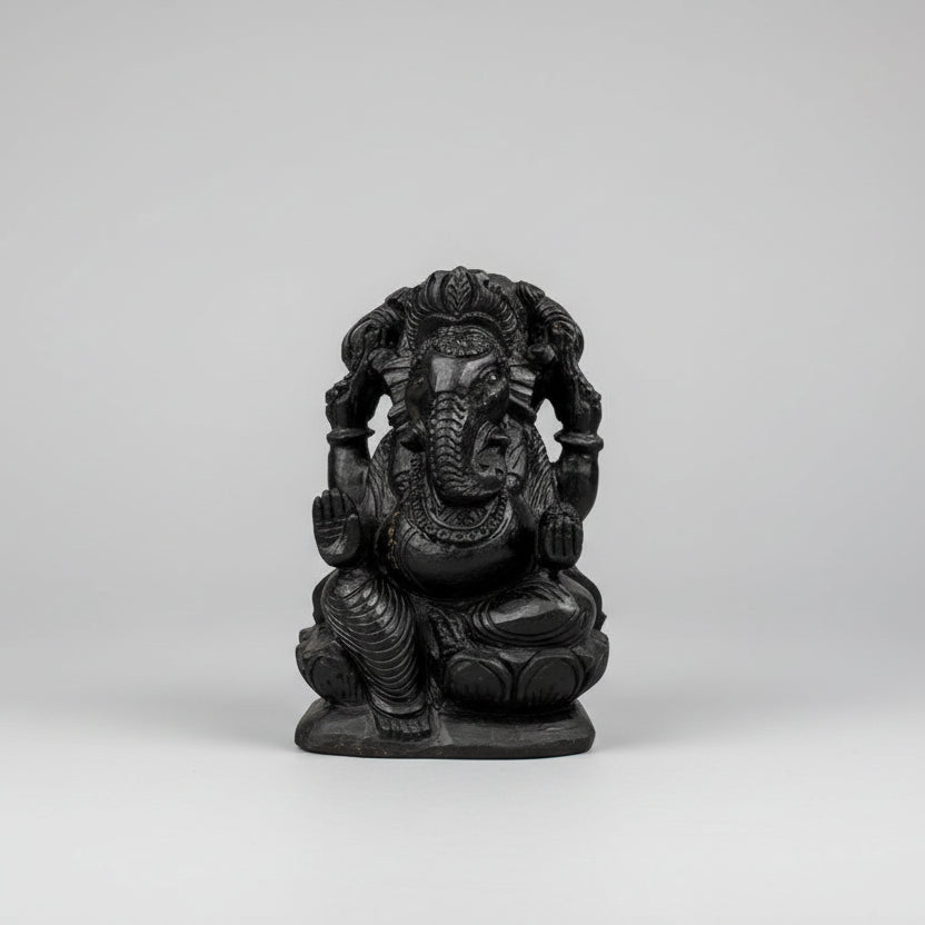 Ganesha Shaligram Murti - 2.1 Kgs