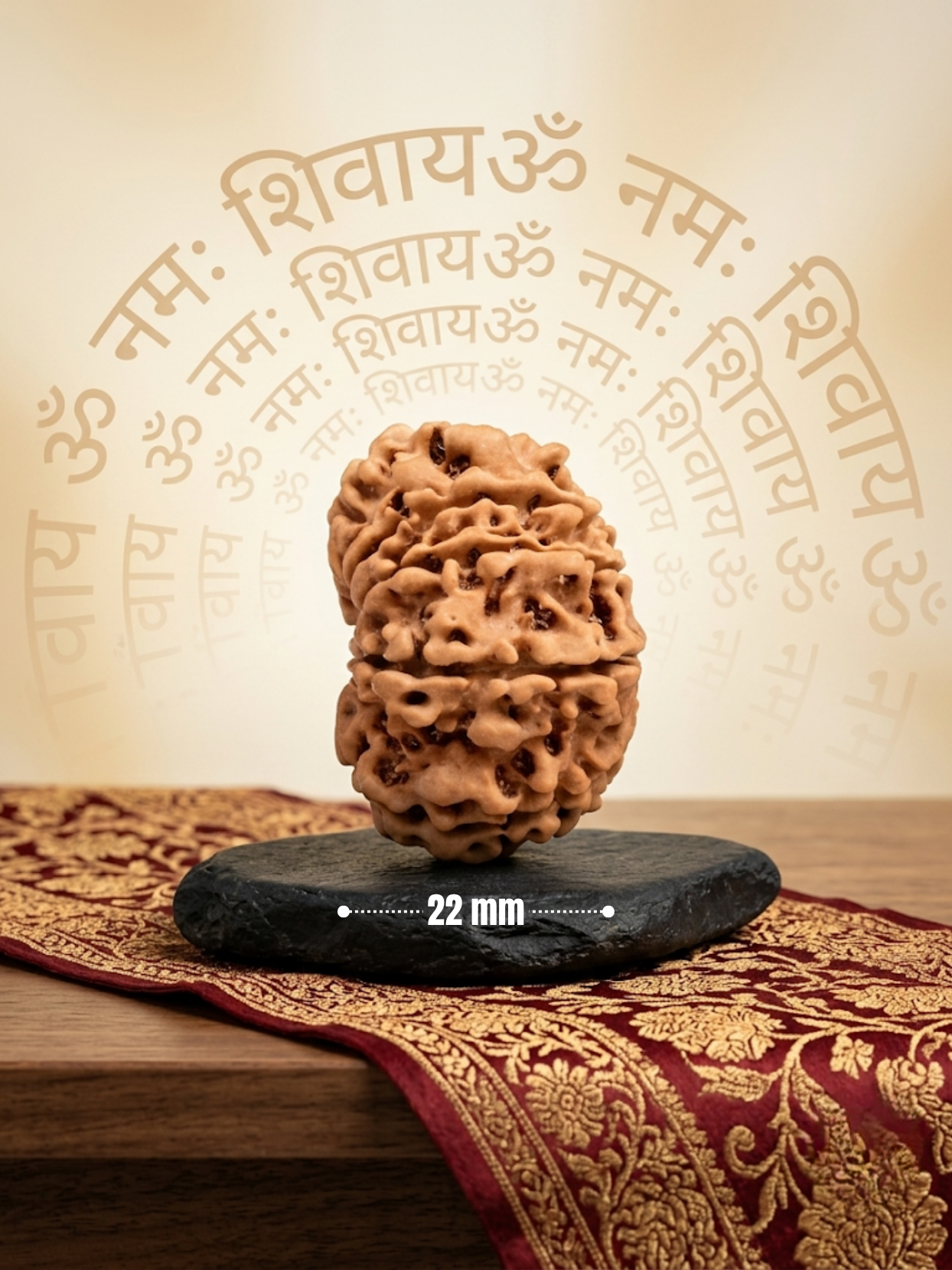 10 Mukhi Rudraksha from Nepal - Small 22 mm - Natural Certified Bead for Vishnu and Peace