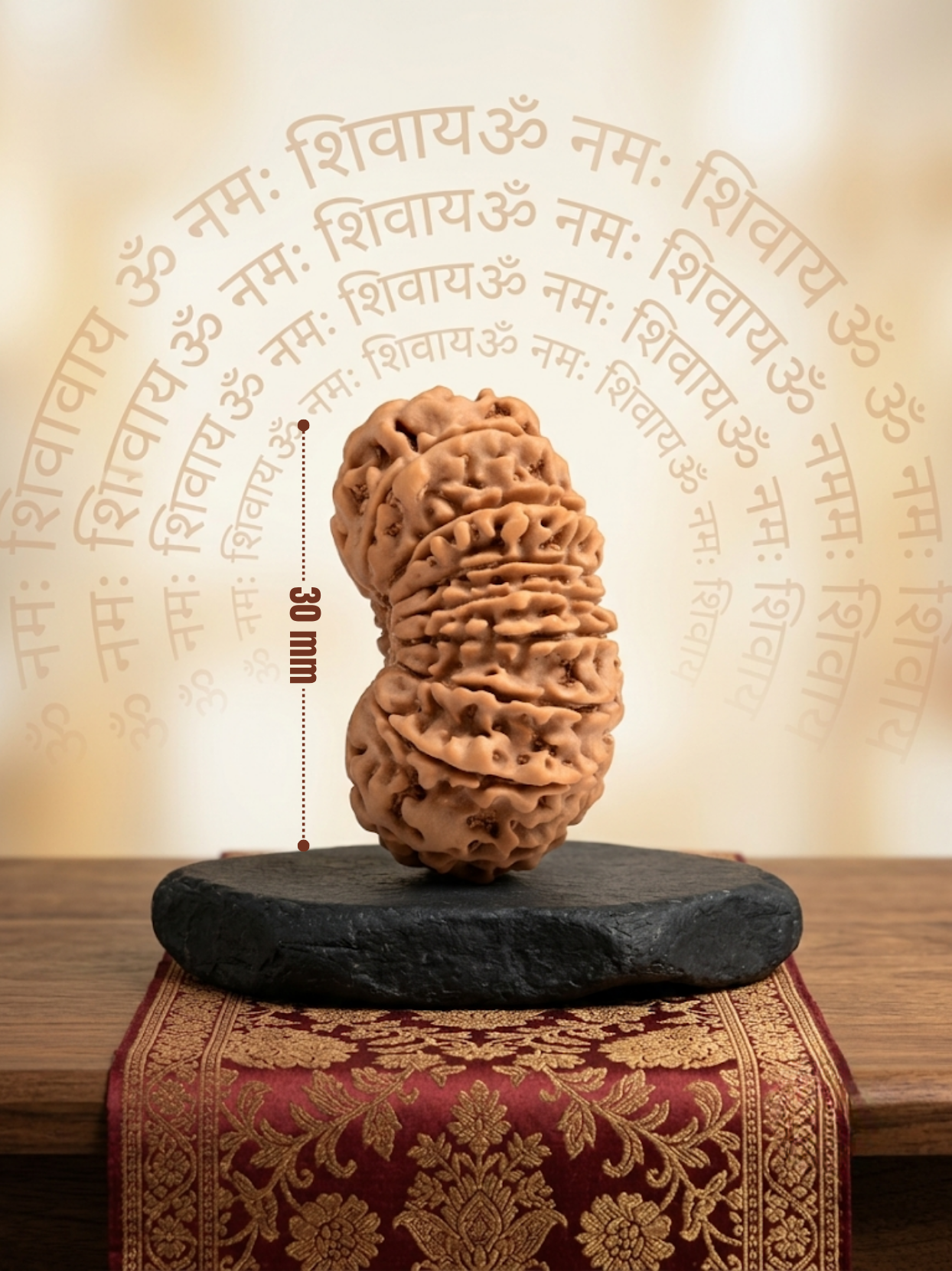 18 Mukhi Rudraksha from Nepal | 30 mm | Certified