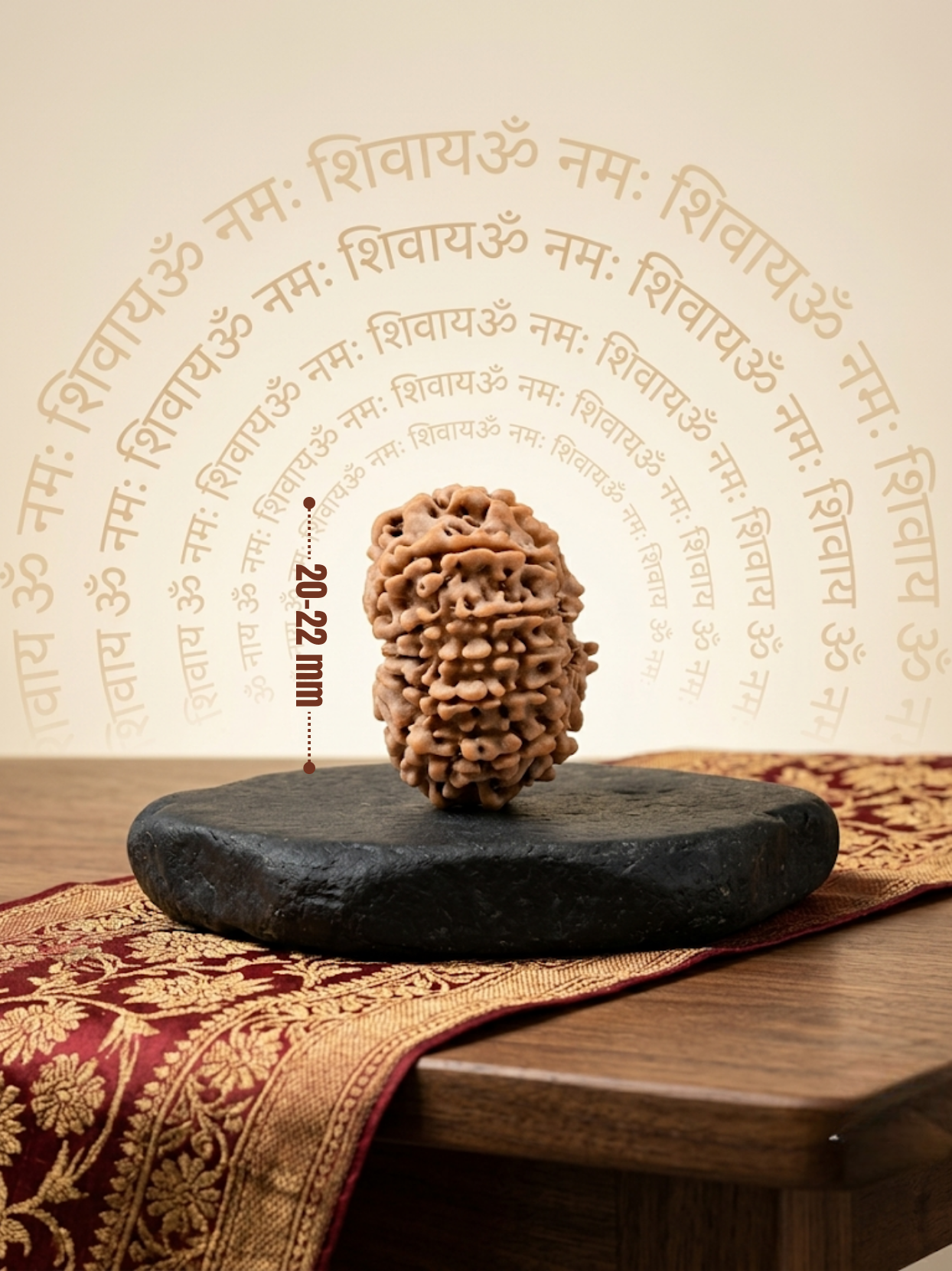 11 Mukhi Rudraksha from Nepal - 20 to 22 mm - Natural Certified Bead for Hanuman and Courage
