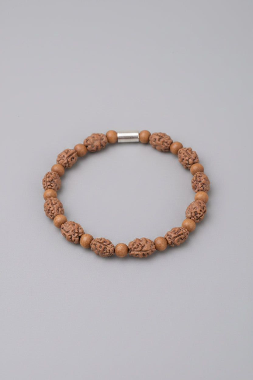 2 Mukhi Rudraksha & White Sandalwood Bracelet-2