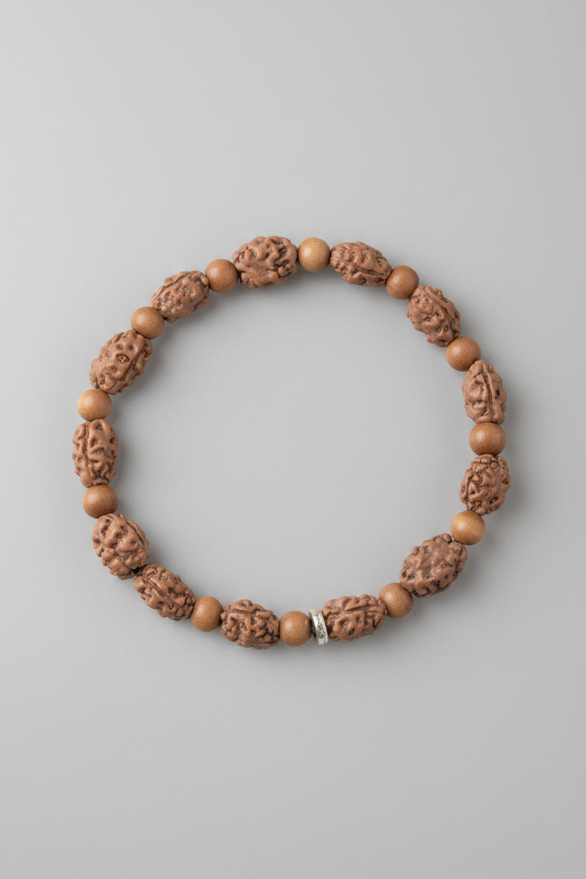 2 Mukhi Rudraksha & White Sandalwood Bracelet-3