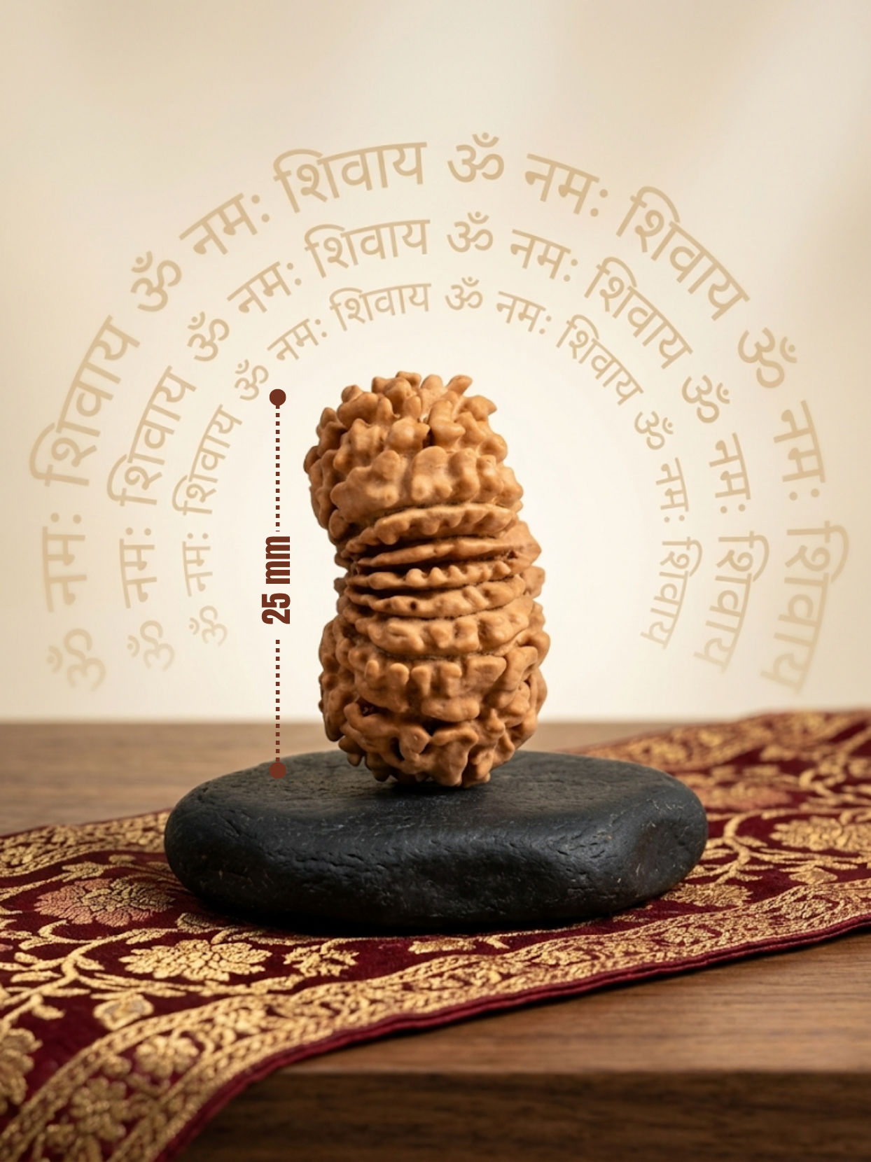 20 Mukhi Rudraksha from Nepal