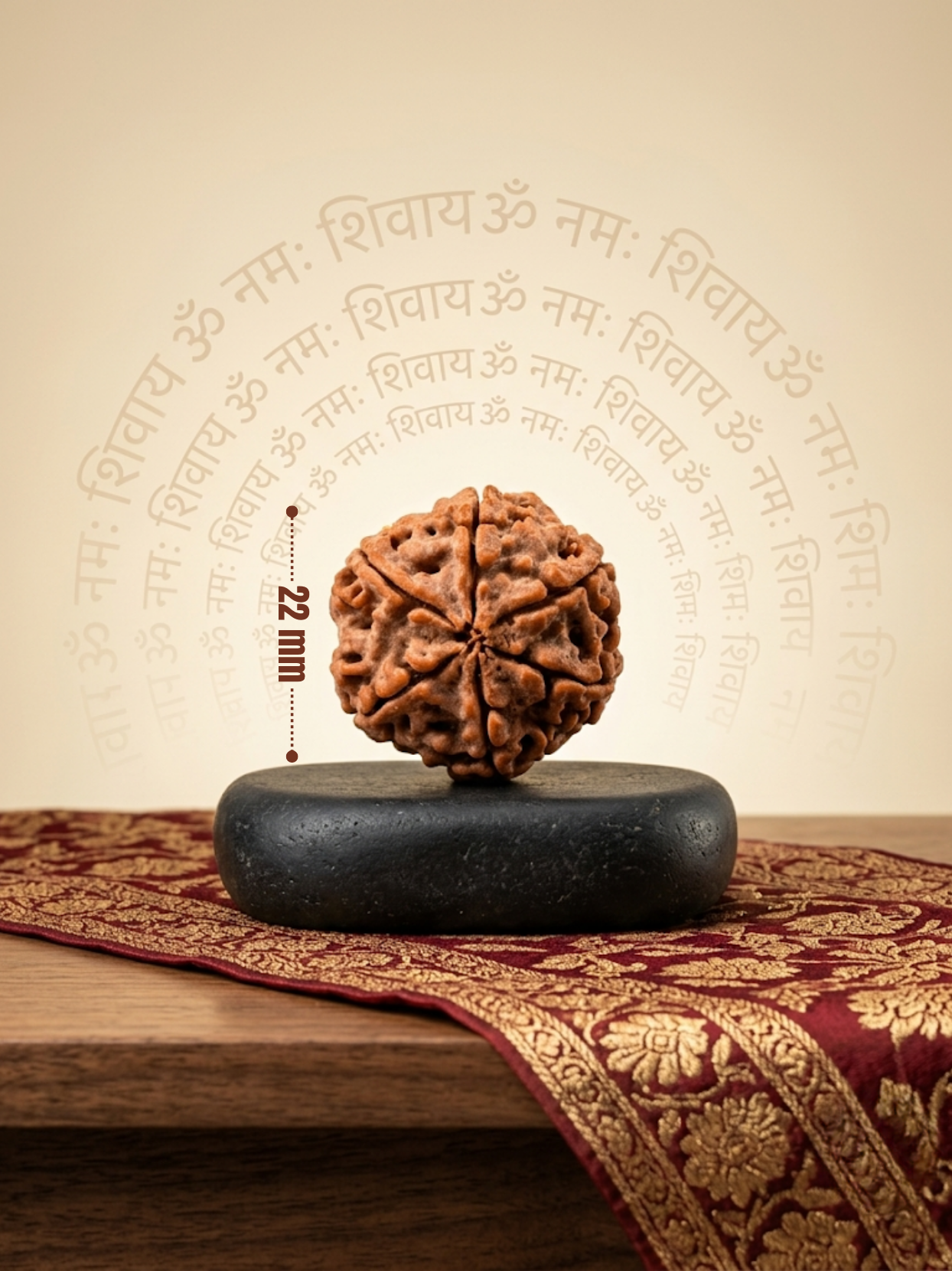 6 Mukhi Rudraksha from Nepal - Collector 22 mm - Natural Certified Bead for Kartikeya and Confidence