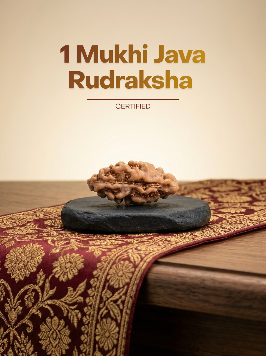 1 Mukhi Java
