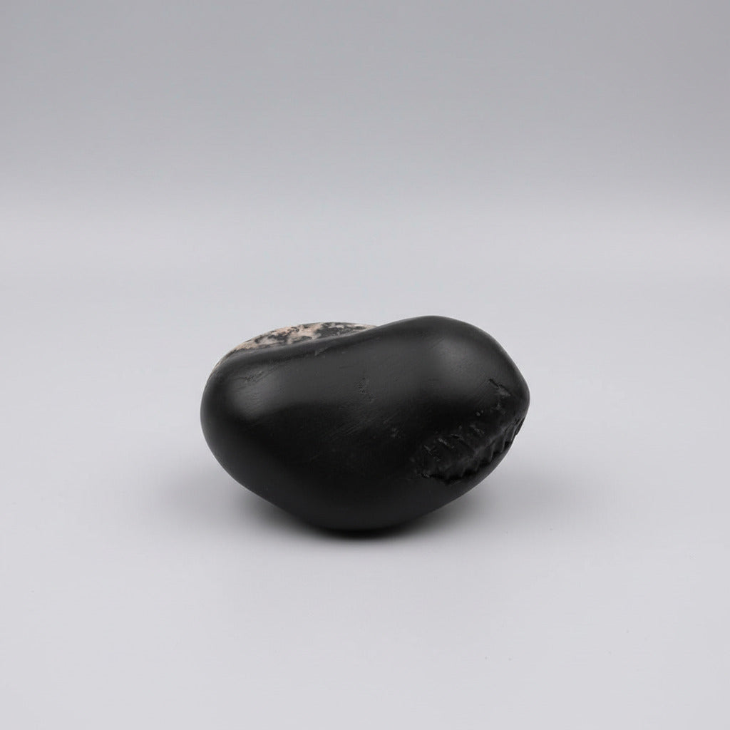 Hayagriva Shashidhar Shaligram Shila