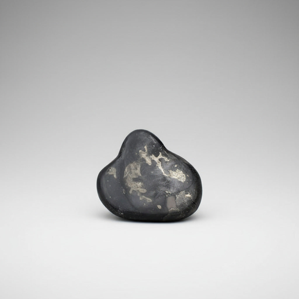 Golden Govind Kurma Shaligram Shila