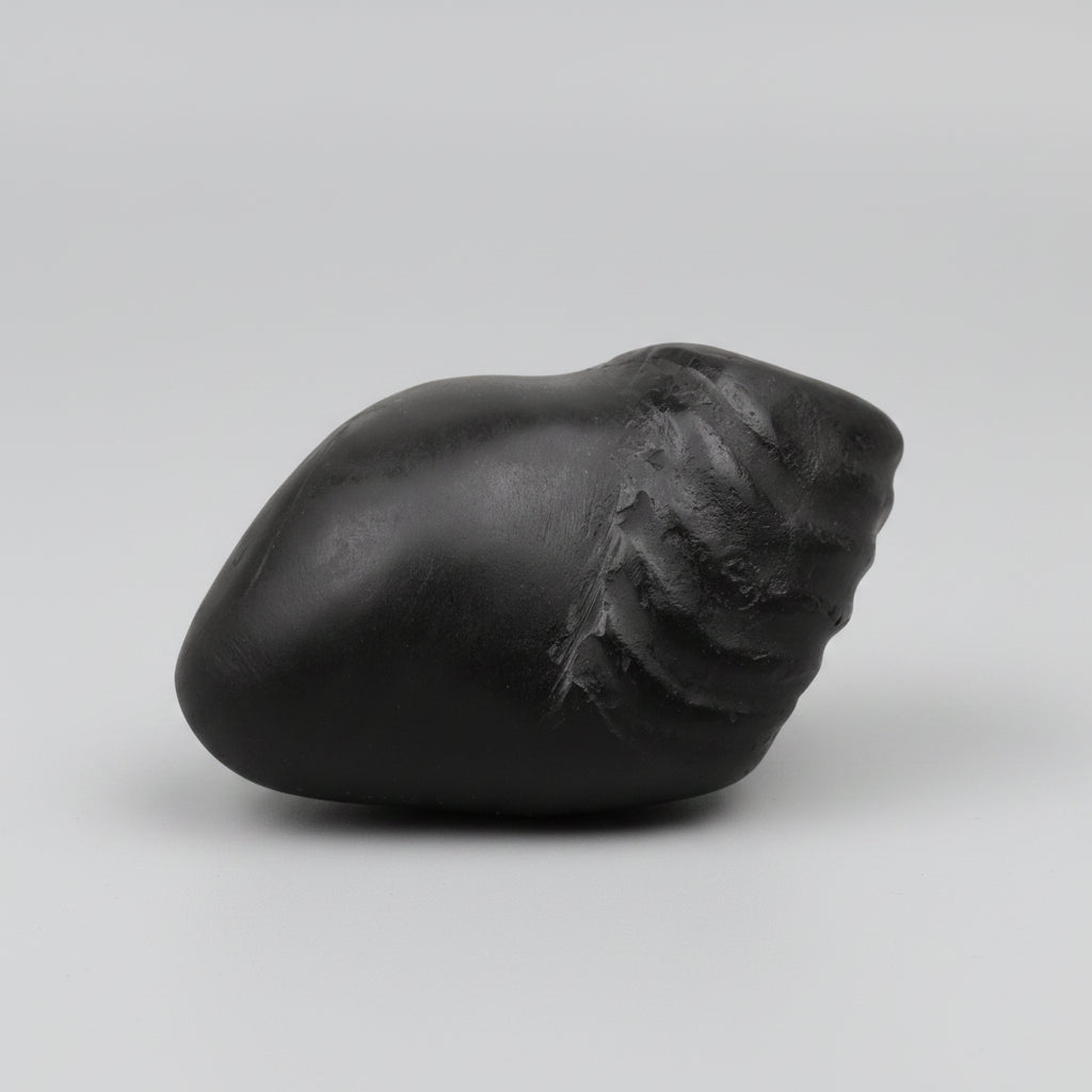 Laxmi Matsya Avatar Shaligram Shila