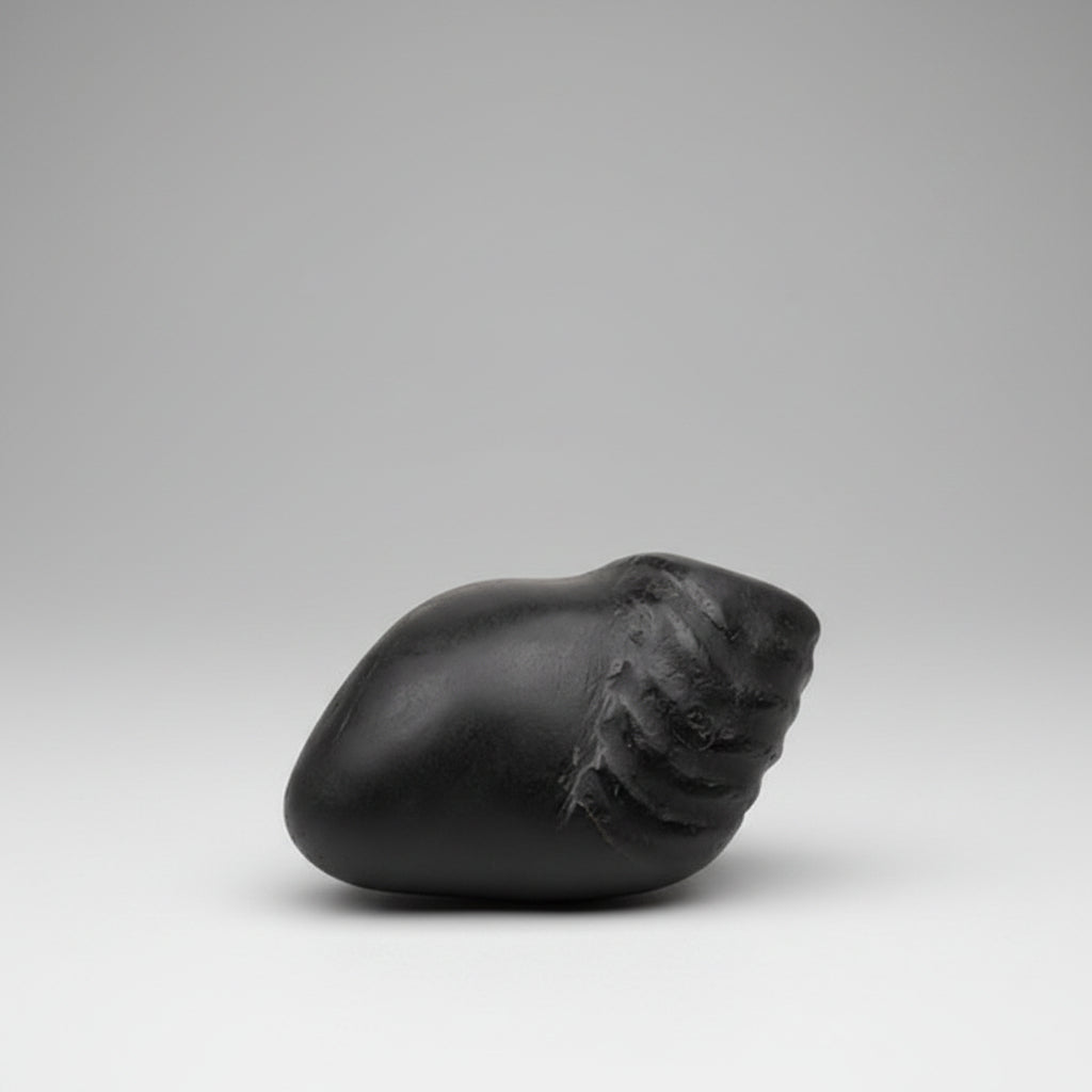 Laxmi Matsya Avatar Shaligram Shila