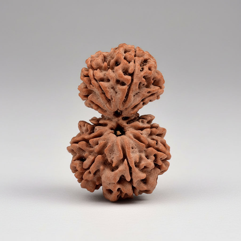Gauri Shankar 11 Mukhi from Nepal