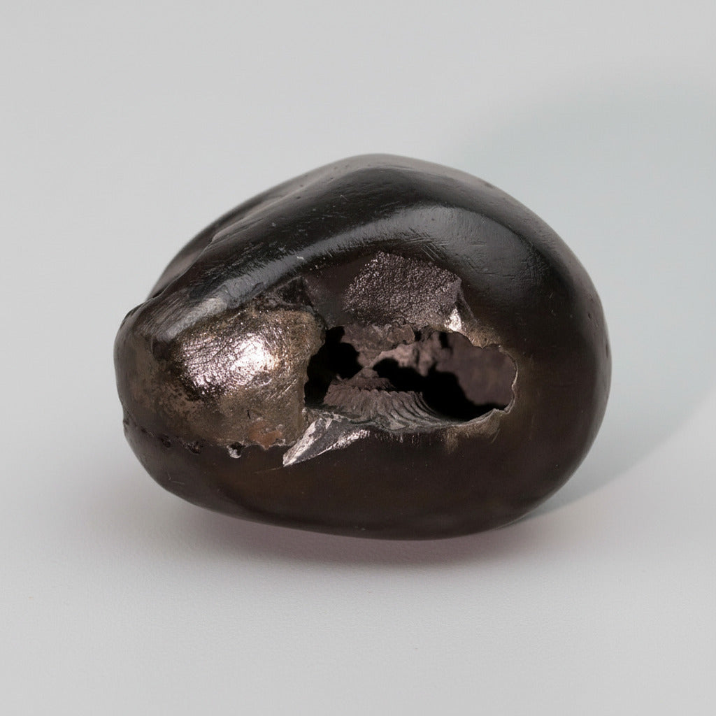 Golden Laxmi Narayan Shaligram Shila