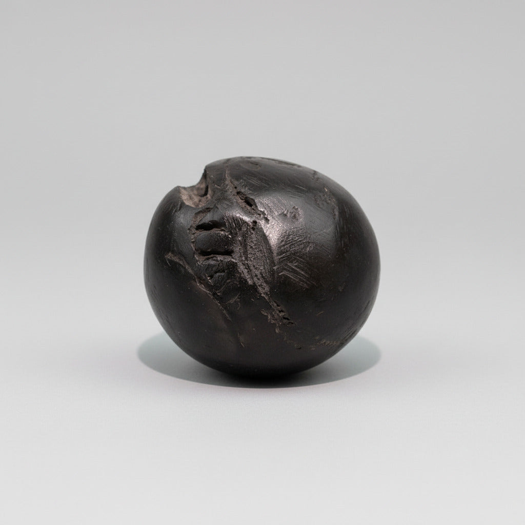 Chakradhari Gopal Vishnu Shaligram Shila