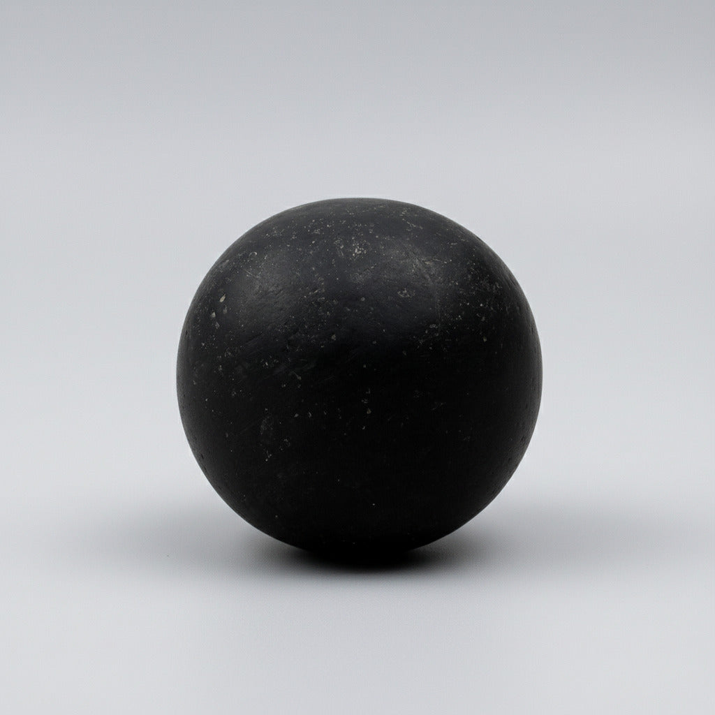 Govind Narayan Shaligram Shila