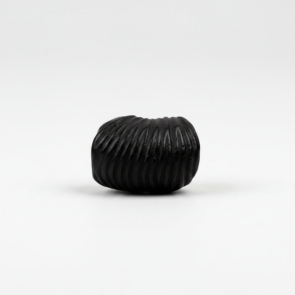 Rishikesh Shaligram Shila
