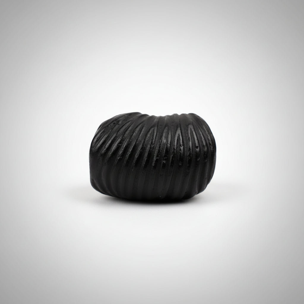 Rishikesh Shaligram Shila