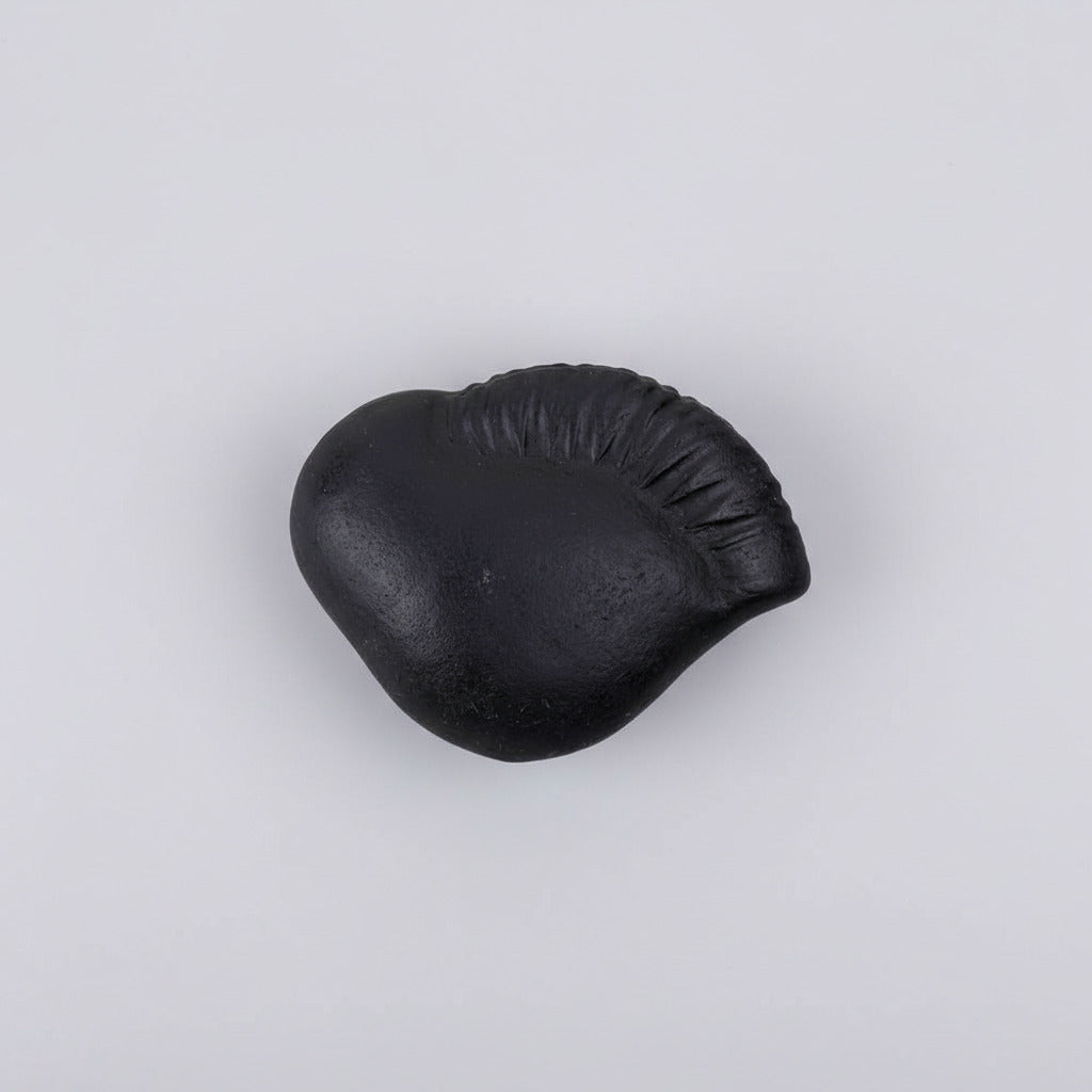 Kalki Laxmi Shaligram Shila