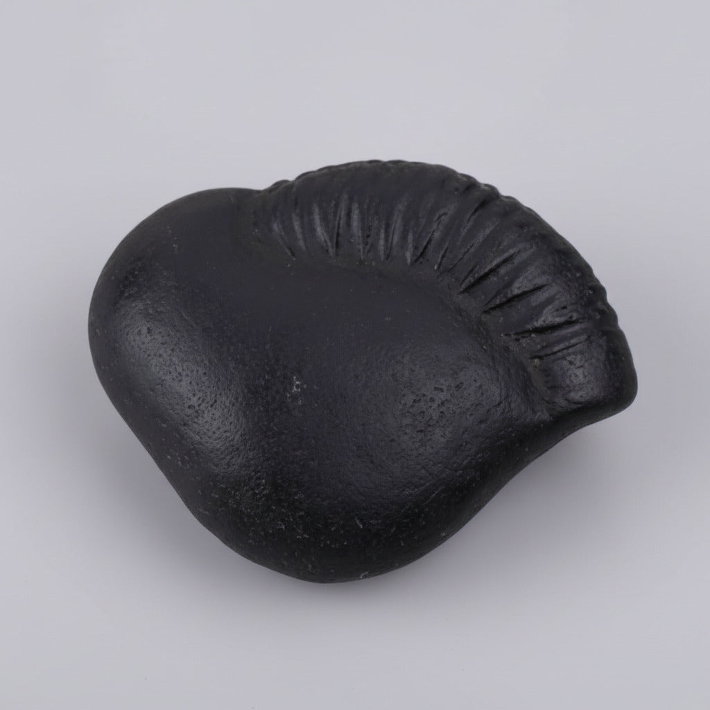 Kalki Laxmi Shaligram Shila
