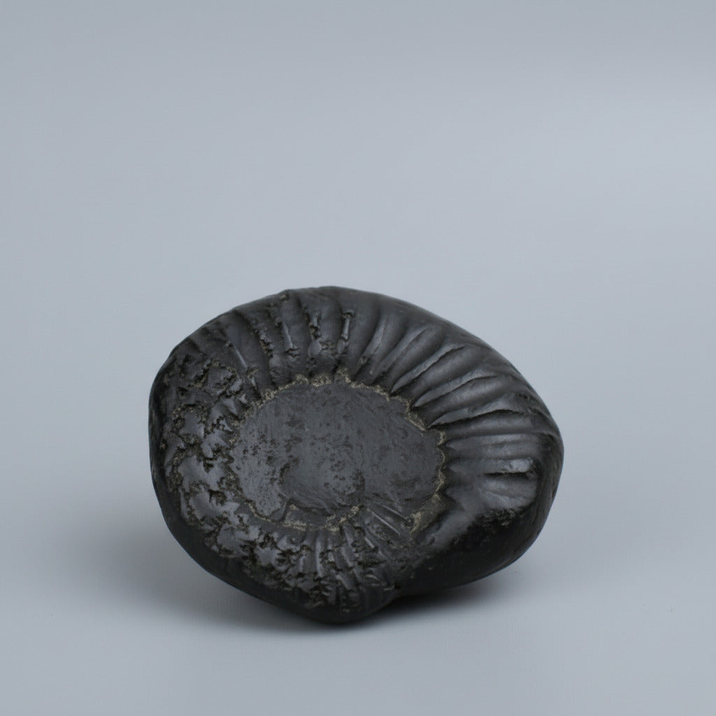 Keshav Kalpavriksha Shaligram Shila
