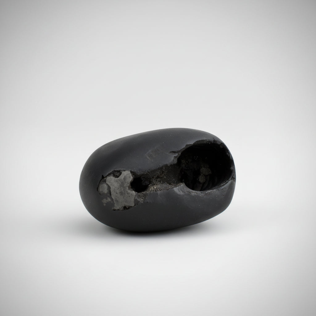Swarna Kamal Laxmi Narsimha Shaligram Shila
