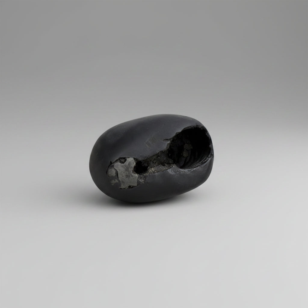 Swarna Kamal Laxmi Narsimha Shaligram Shila