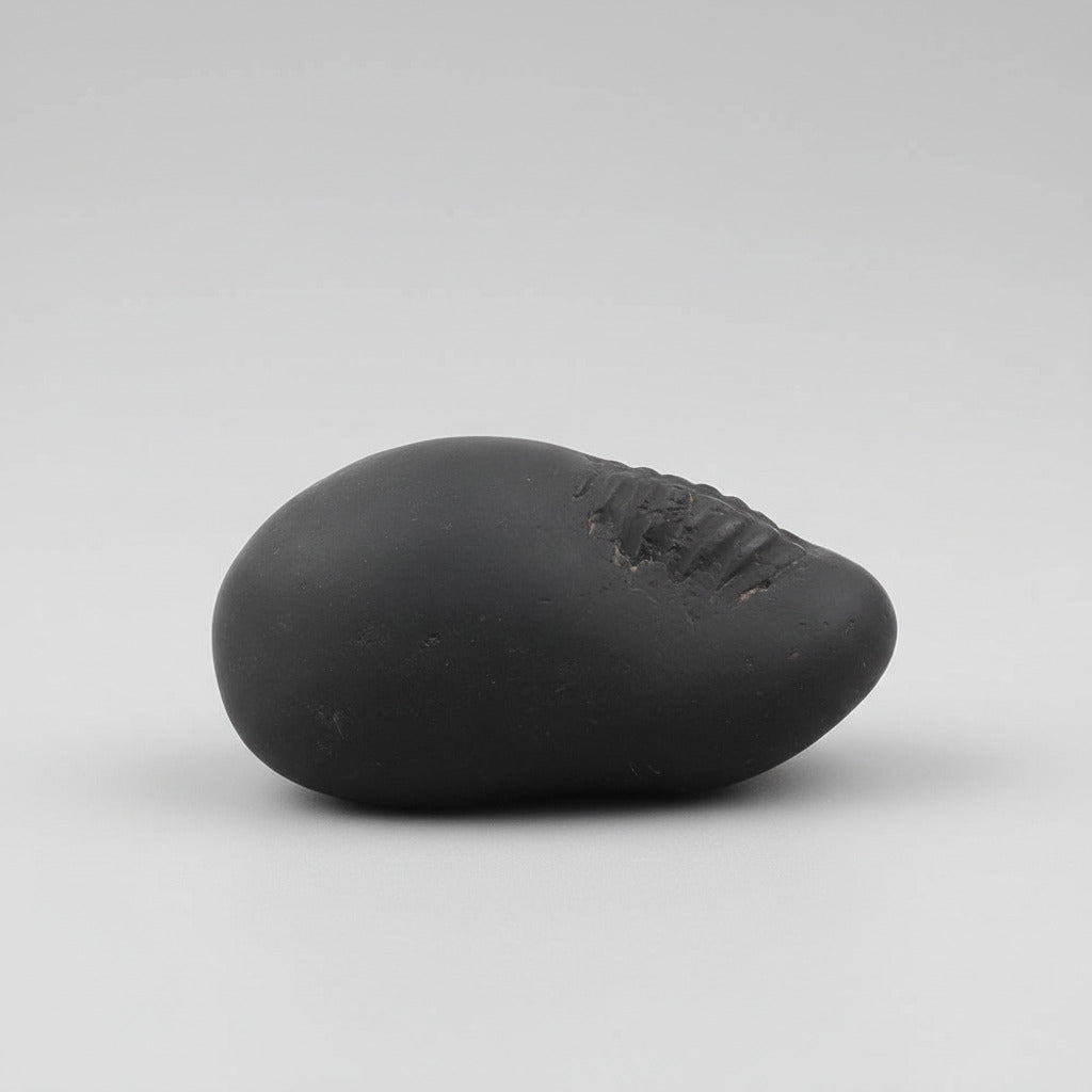 Ganesh Shaligram Shila