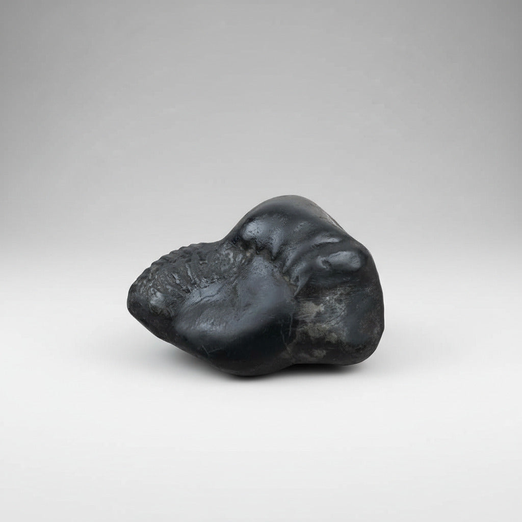 Golden Garud Shaligram Shila