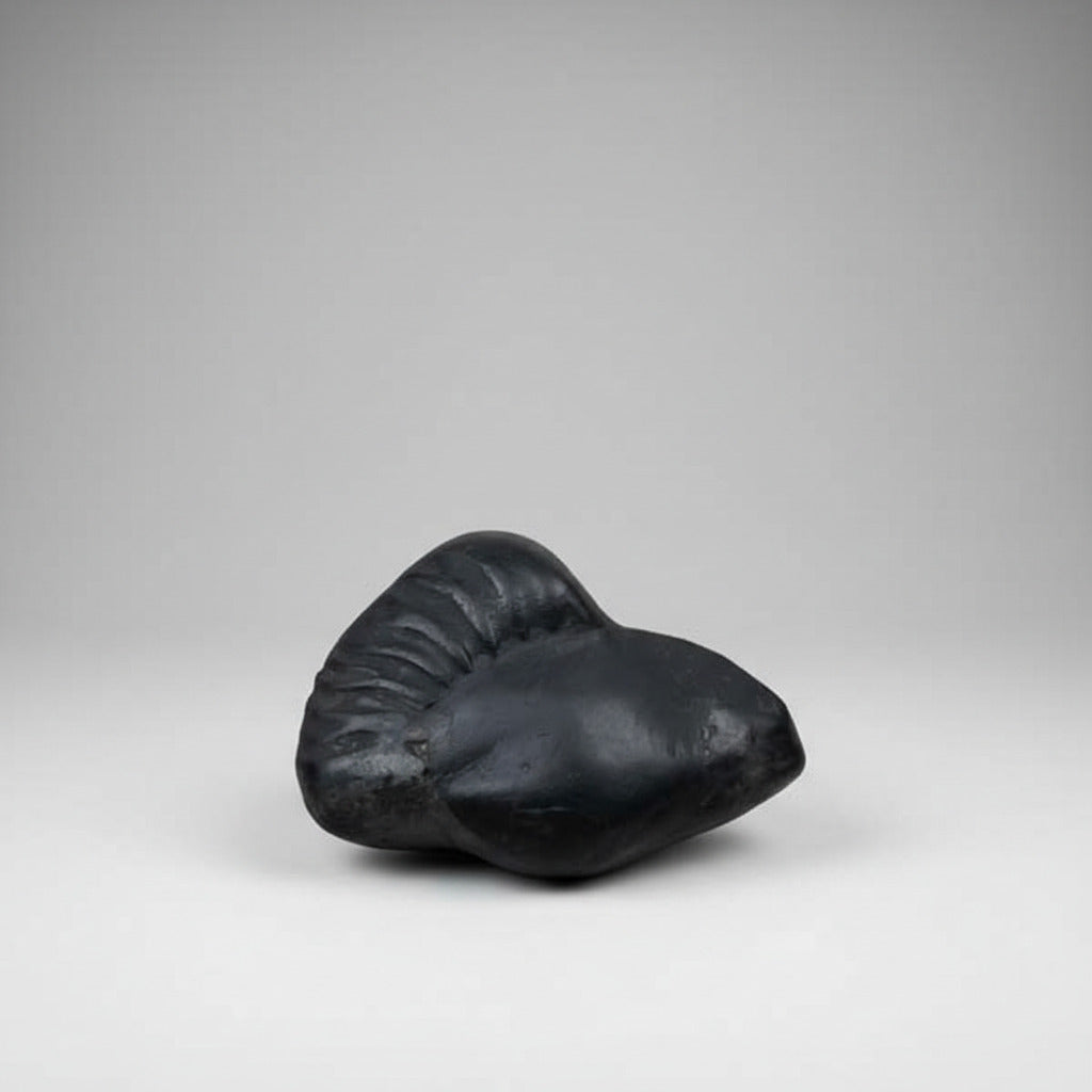 Golden Garud Shaligram Shila