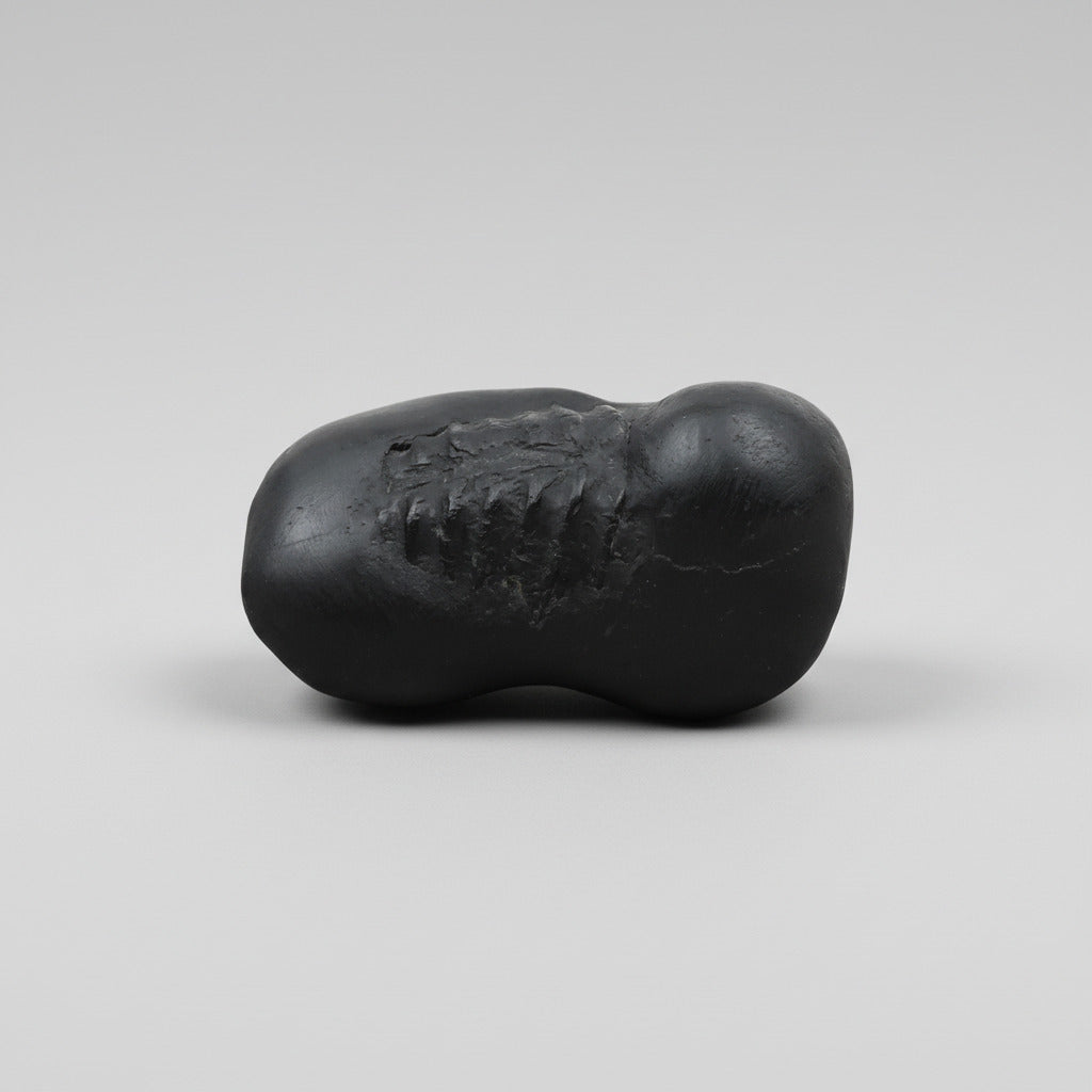 Hayagreeva Shaligram Shila