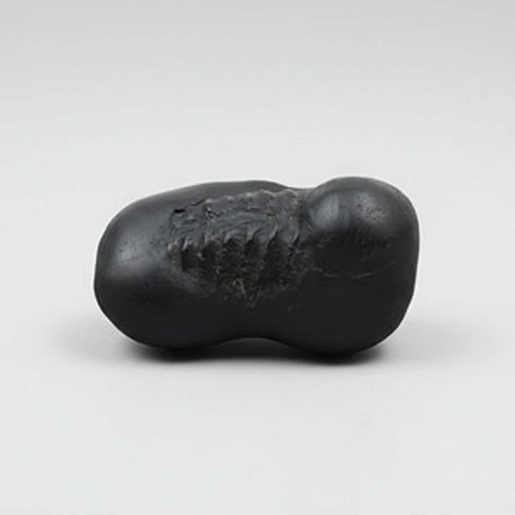 Hayagreeva Shaligram Shila