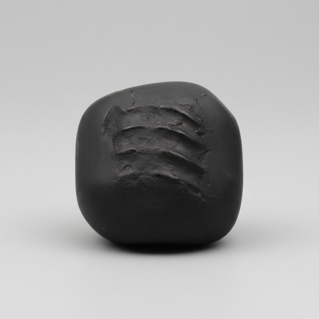 Jagannath Chakradhrai Maha Mishnu Shaligram Shila