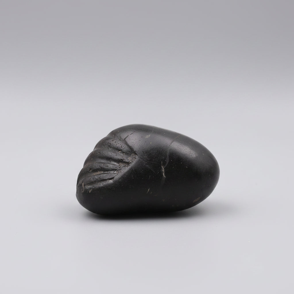 Laxmi Matsya Murti Shaligram Shila
