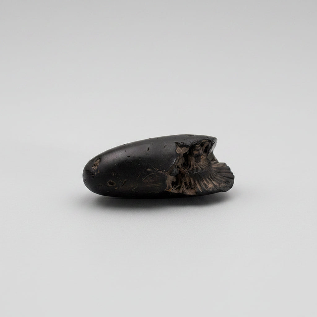 Narsimha Janardhana Shaligram Shila