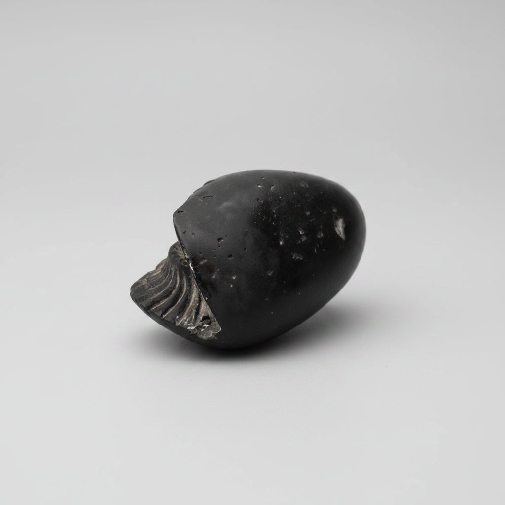 Narsimha Janardhana Shaligram Shila