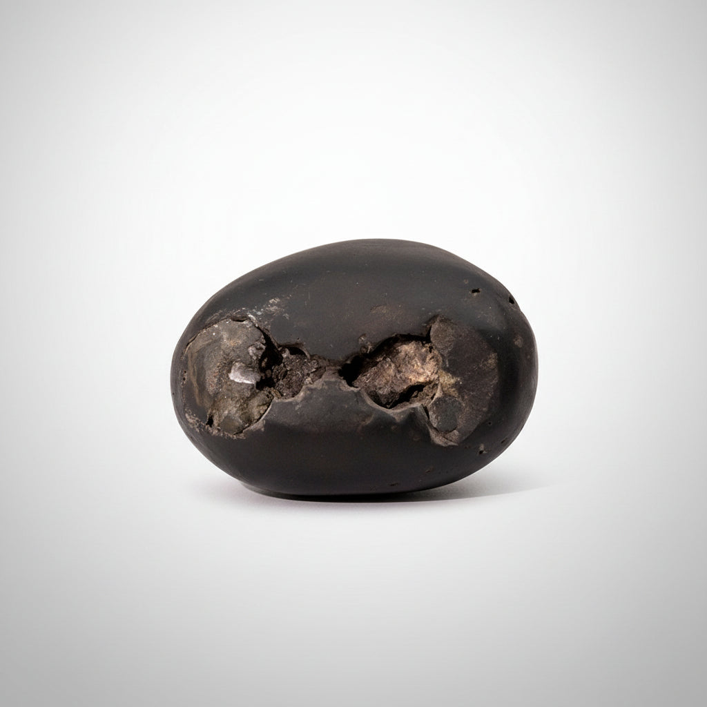 Ugra Laxmi Narsimha Shaligram Shila - II