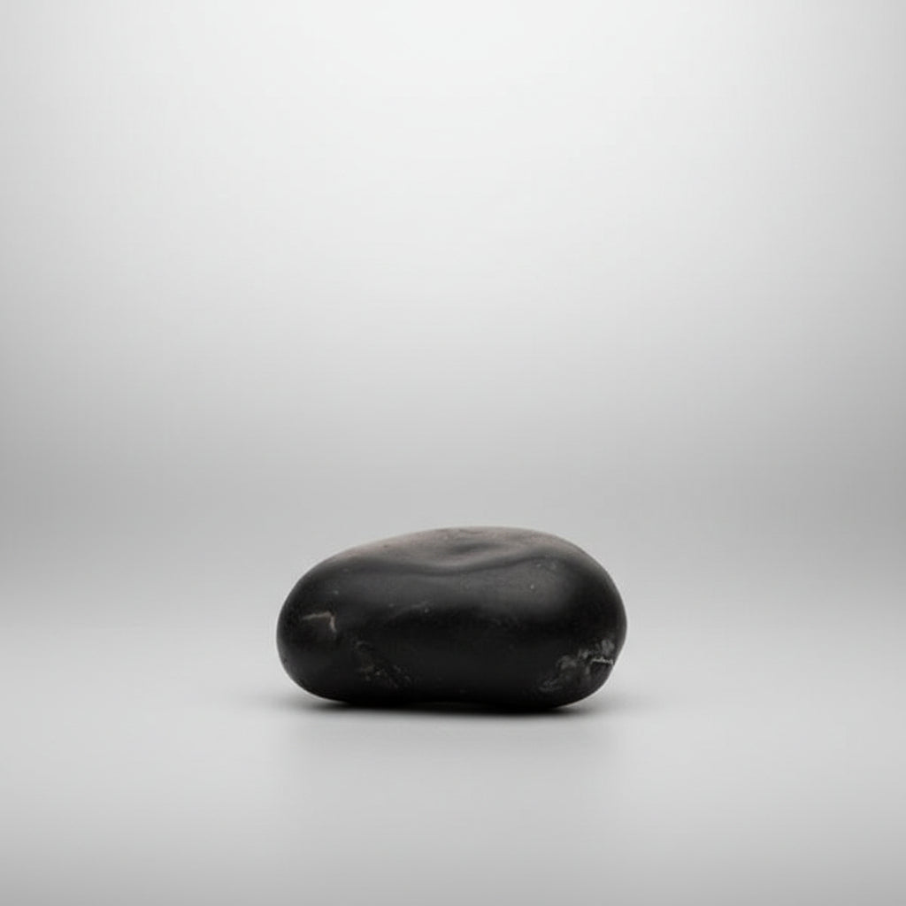 Ugra Laxmi Narsimha Shaligram Shila - II
