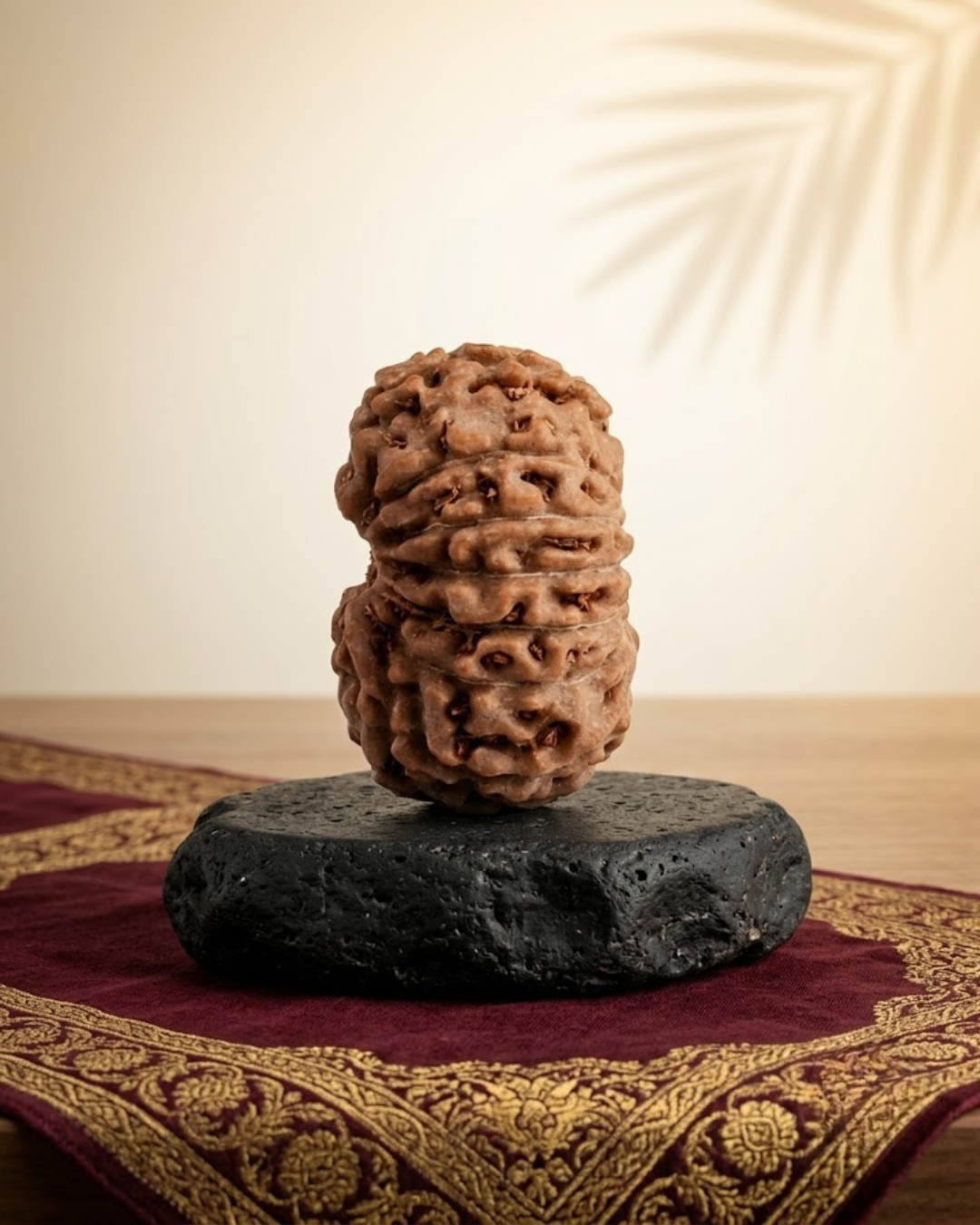 14 Mukhi Rudraksha Java Indonesian 15mm Small Certified
